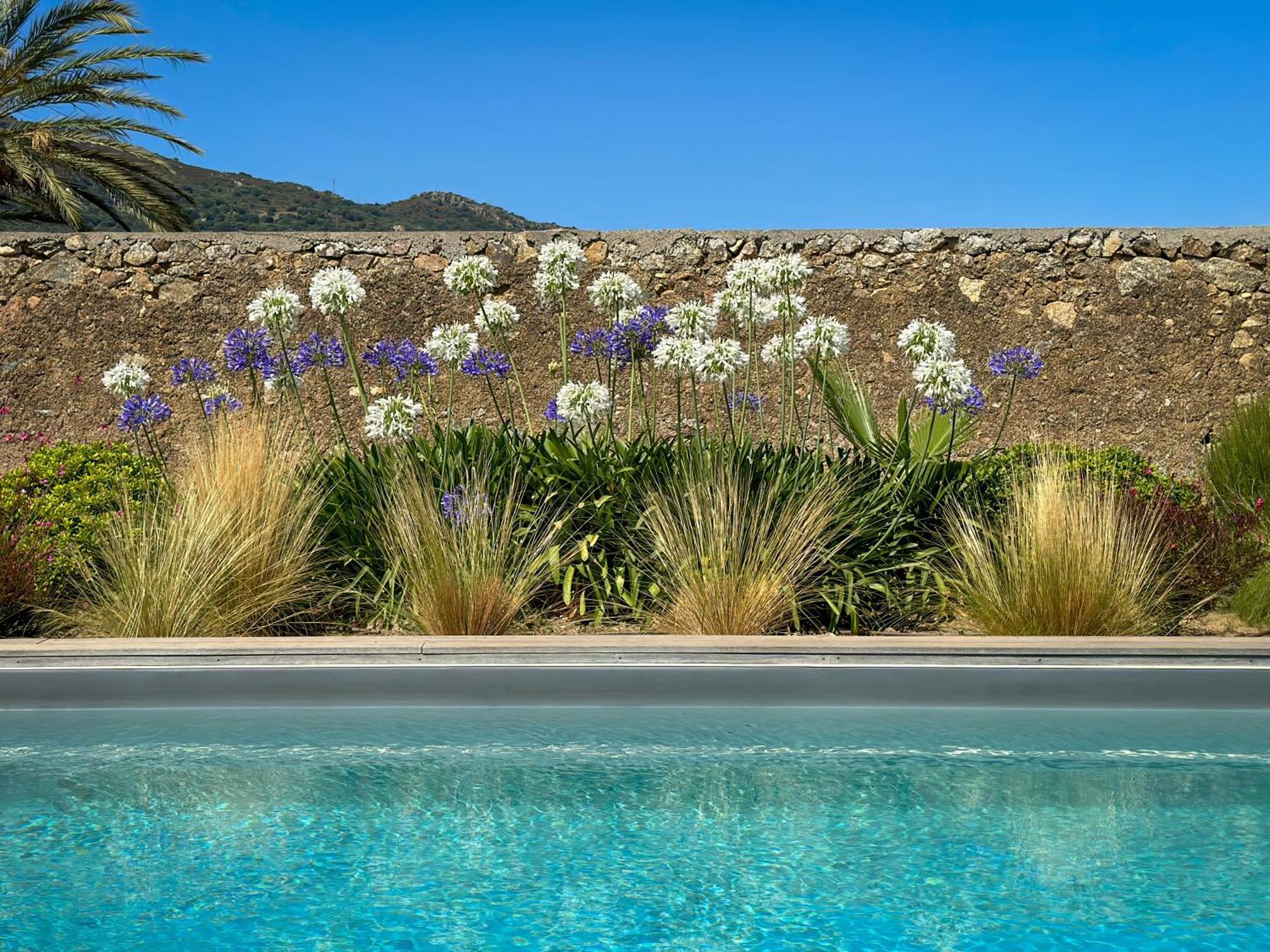 Domaine Villas Celia Monticello Eksteriør billede